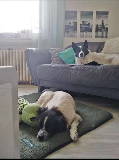 Erziehung und die Gefühle dabei-Beitrag-Bild