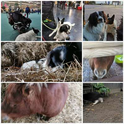 Was hat euch heute genervt?-Beitrag-Bild