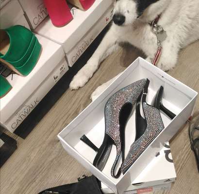 TierschutzhundeStammtisch🐕-Beitrag-Bild