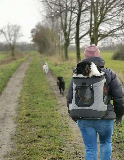 Theos  Fotochallenge Nummer 2-Beitrag-Bild