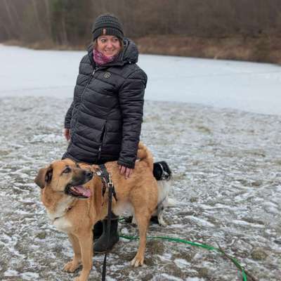 TierschutzhundeStammtisch🐕-Beitrag-Bild