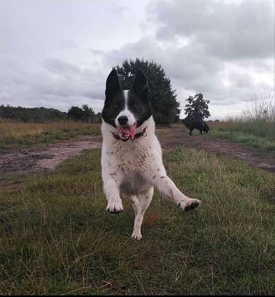 Fotochallenge Nr. 52 „Spring!“-Beitrag-Bild