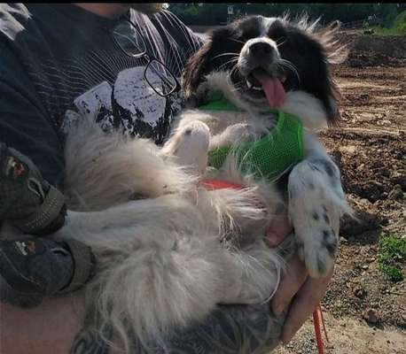 "Die eingefangene Magie des Augenblicks"-Beitrag-Bild