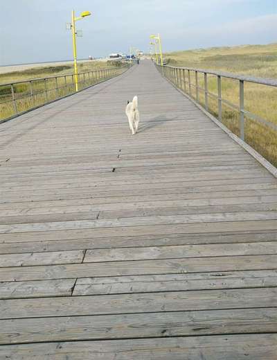 Fotochallenge Nr.100 Urlaubsimpressionen-Beitrag-Bild