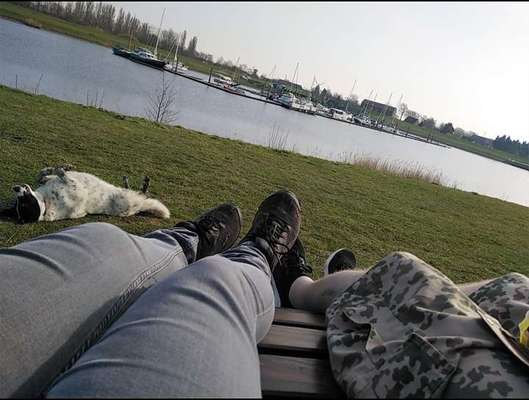 Fotochallenge No. 26                                     Wald und Wiese-Beitrag-Bild