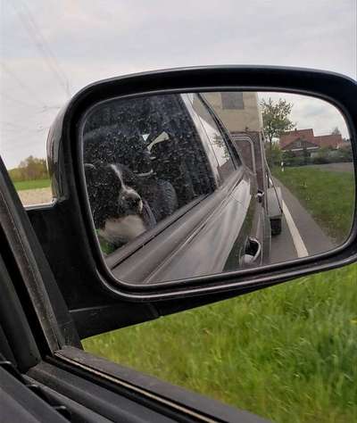 117. Fotochallenge-Beitrag-Bild