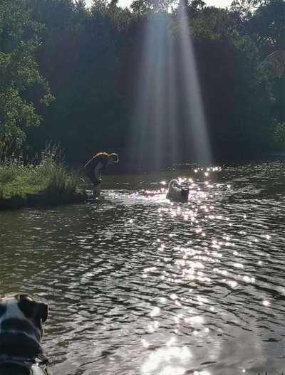 42.Fotochallenge - Eure schönen Momente beim Spaziergang-Beitrag-Bild