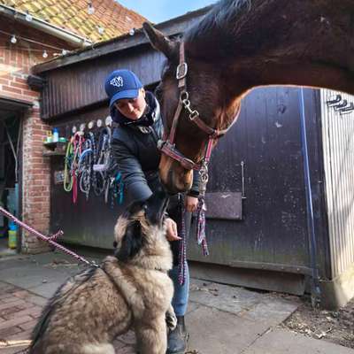TierschutzhundeStammtisch🐕-Beitrag-Bild