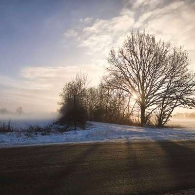 TierschutzhundeStammtisch🐕-Beitrag-Bild