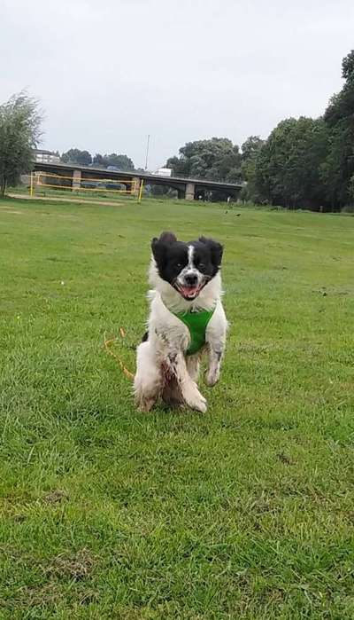 Fotochallenge Nr. 52 „Spring!“-Beitrag-Bild