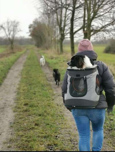 Überforderter Senior-Beitrag-Bild