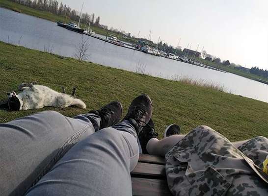 TierschutzhundeStammtisch🐕-Beitrag-Bild