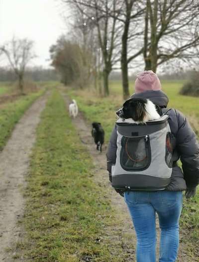 Bright side of life! Schönwetter-Thread-Beitrag-Bild