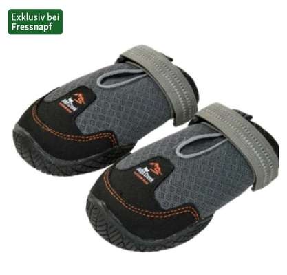 TierschutzhundeStammtisch🐕-Beitrag-Bild