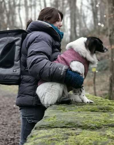 Dogorama Photo Challenge - Steine/Felsen-Beitrag-Bild