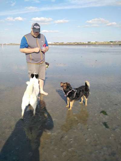 TierschutzhundeStammtisch🐕-Beitrag-Bild