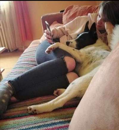 Lustige Szenen bzw Vorfälle mit eurem Liebling-Beitrag-Bild