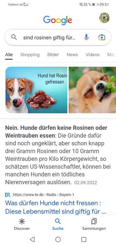 TierschutzhundeStammtisch🐕-Beitrag-Bild