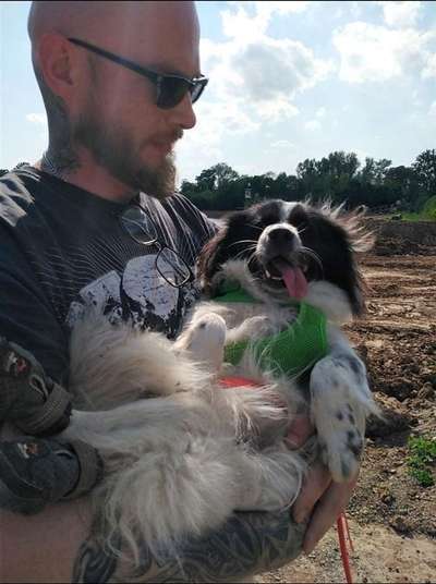 TierschutzhundeStammtisch🐕-Beitrag-Bild