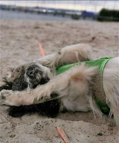 "Die eingefangene Magie des Augenblicks"-Beitrag-Bild