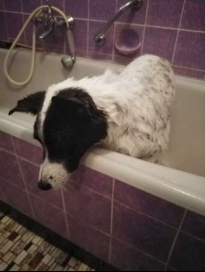 Fotochallenge 128-Beitrag-Bild