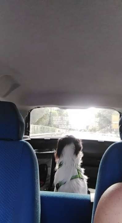 Fotochallenge 101:
On Tour-Beitrag-Bild