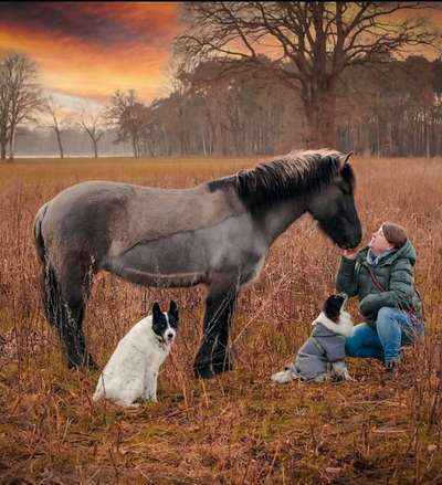 12. Farben Foto Challenge --- Braun-Beitrag-Bild