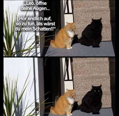 Was hat euch heute genervt?-Beitrag-Bild