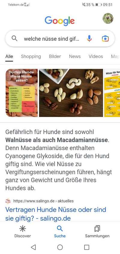 TierschutzhundeStammtisch🐕-Beitrag-Bild