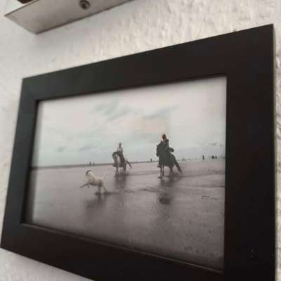 TierschutzhundeStammtisch🐕-Beitrag-Bild