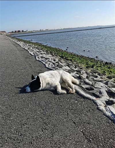 CHALLENGE NR. 34 - Liege-/Schlafpositionen-Beitrag-Bild