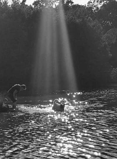 Foto-Challenge 76: Foto in Schwarz-Weiss-Beitrag-Bild