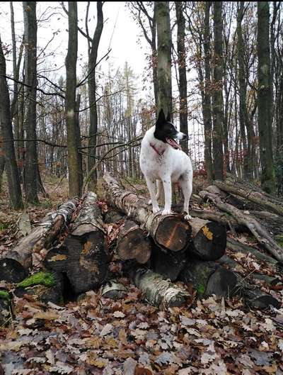 Theos Fotochallenge Nr. 3-Beitrag-Bild