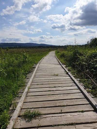 Die wunderschöne Welt mit Hund.-Beitrag-Bild