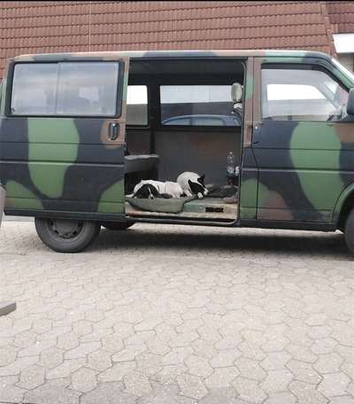 141. FOTO CHALLENGE 
Reisende soll man nicht aufhalten-Beitrag-Bild