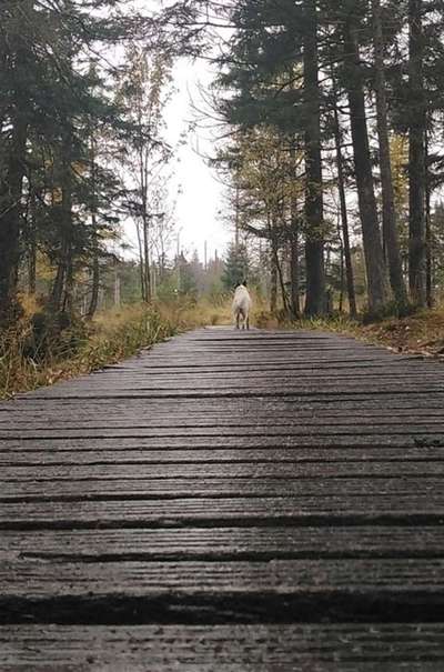 Fotochallenge Nr 107-Beitrag-Bild