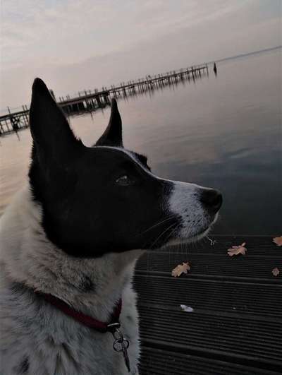 Fotochallenge 27-Beitrag-Bild