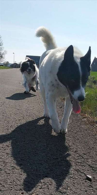 Fotochallenge 130-Beitrag-Bild