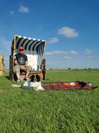 TierschutzhundeStammtisch🐕-Beitrag-Bild