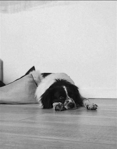 Foto-Challenge 76: Foto in Schwarz-Weiss-Beitrag-Bild