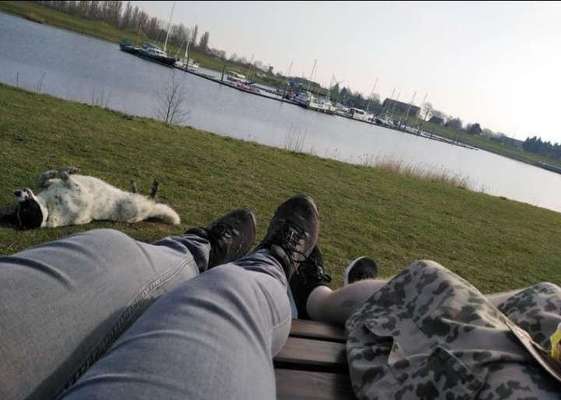 Postet das beste Foto von euren 4 beinern-Beitrag-Bild