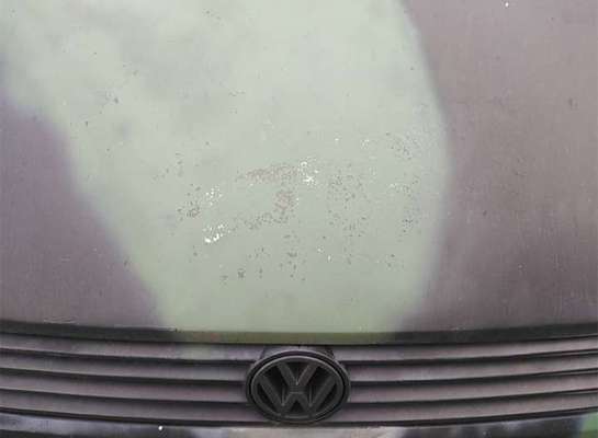 TierschutzhundeStammtisch🐕-Beitrag-Bild