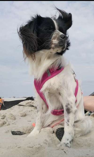 Fotochallenge Nr.100 Urlaubsimpressionen-Beitrag-Bild