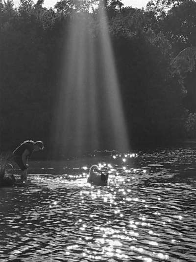 Fotochallange nr. 106
Der geschmückte Hund.-Beitrag-Bild