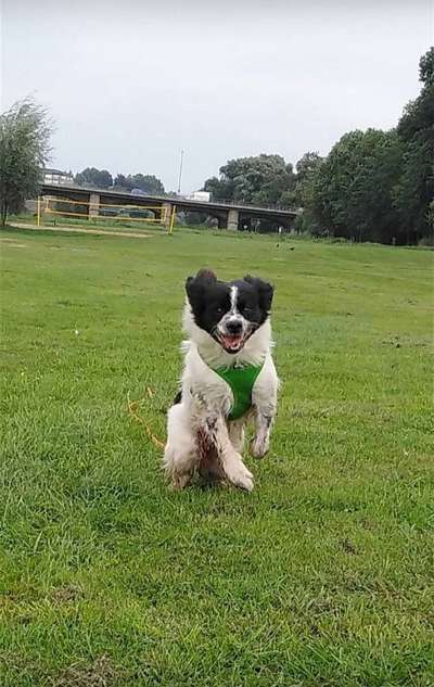"Die eingefangene Magie des Augenblicks"-Beitrag-Bild