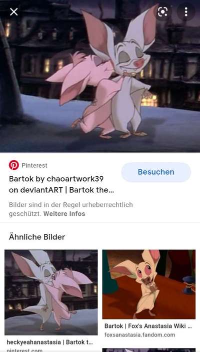 Mischlingshunde Foto Aufruf-Beitrag-Bild