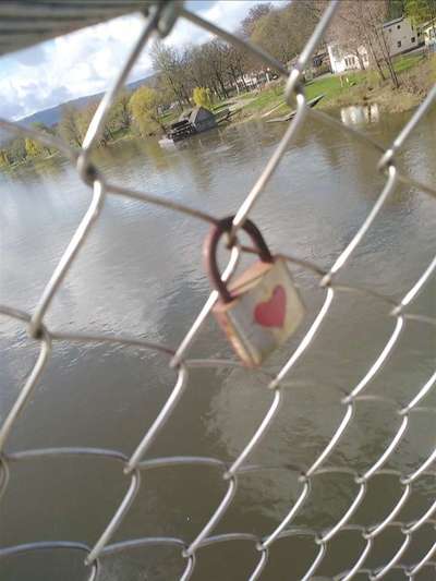 Die wunderschöne Welt mit Hund.-Beitrag-Bild