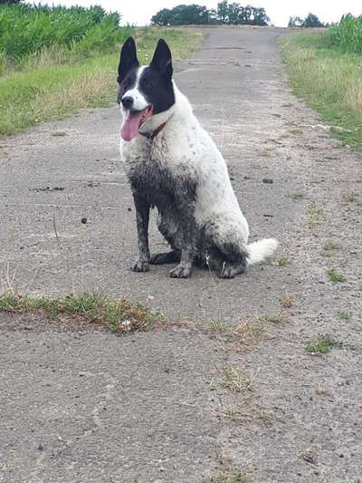 Erzählt eure Erfolgsstorys!-Beitrag-Bild