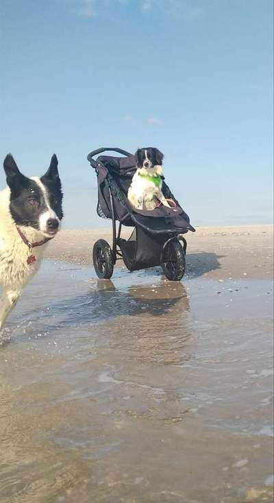 Überforderter Senior-Beitrag-Bild