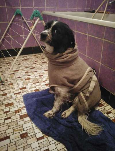 Fotochallenge 128-Beitrag-Bild